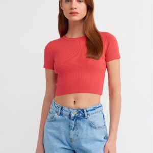 Crew Neck Short Sleeve Crop Sweater